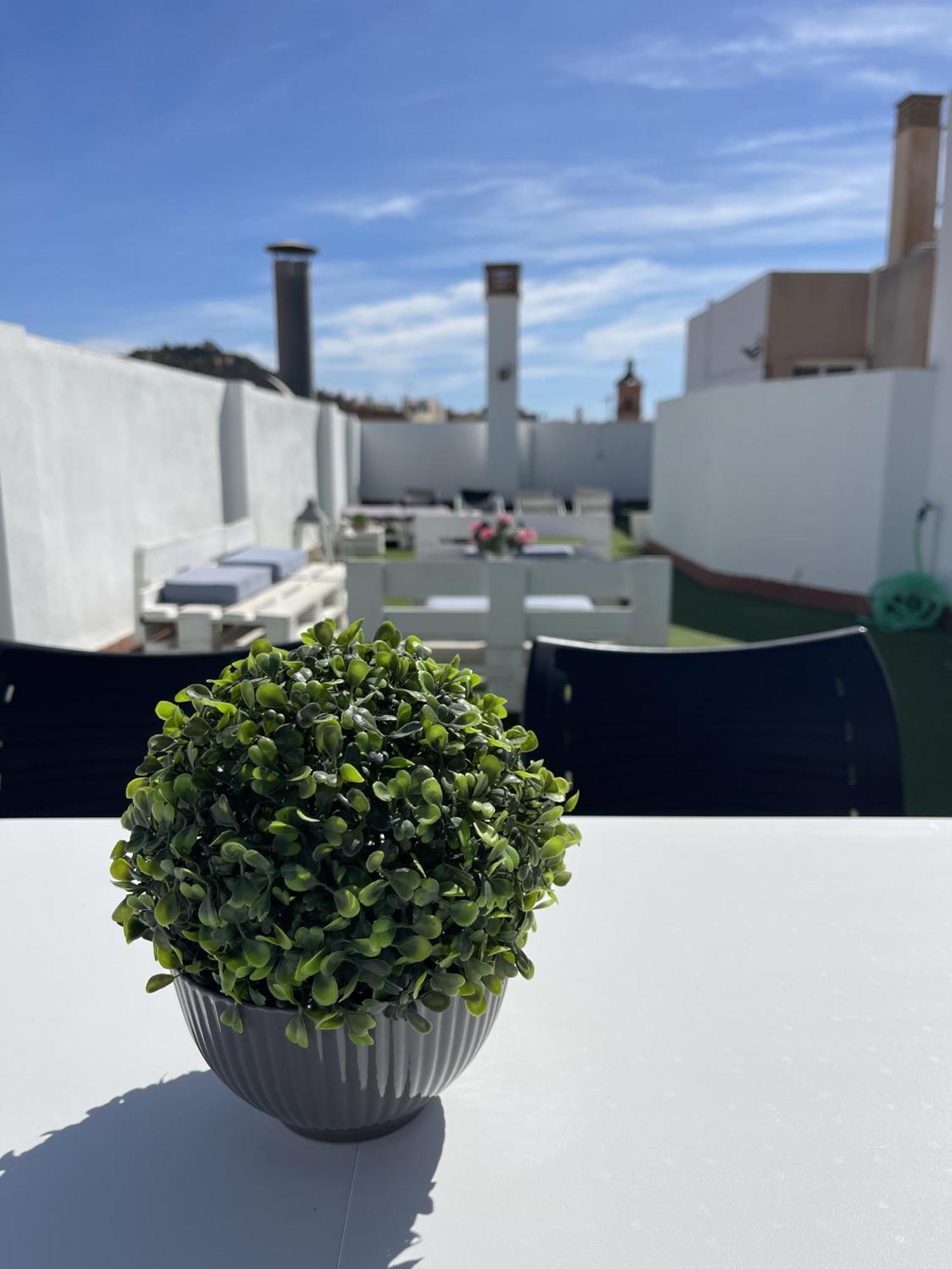 San Rafael Terrace City Centre Málaga Dış mekan fotoğraf